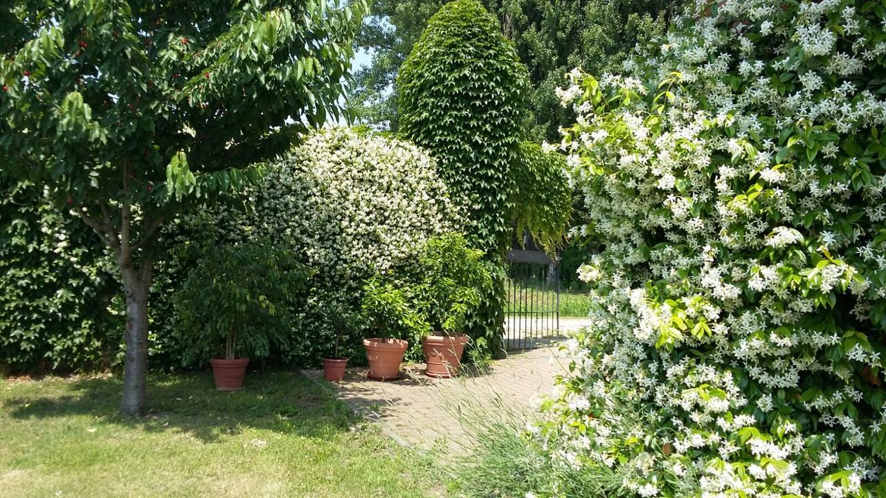 Agriturismo San Bruno San Colombano al Lambro Buitenkant foto